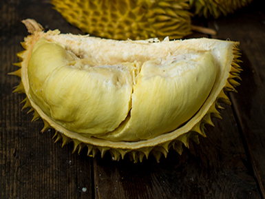 开云电竞手机版基地展示二