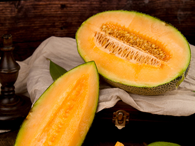 开云电竞手机版基地展示三