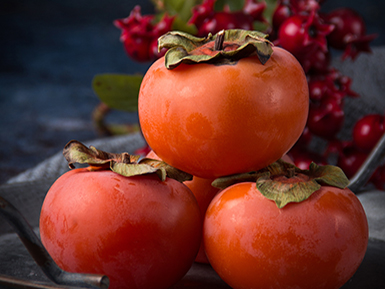 开云电竞手机版基地展示四